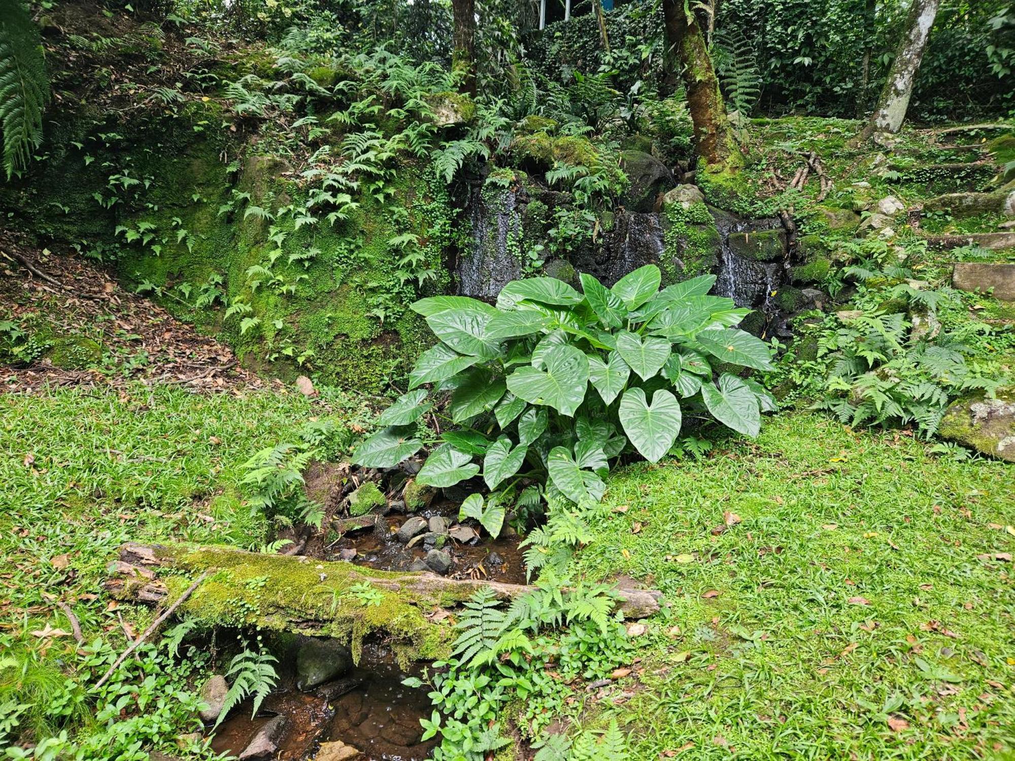 Cantinho Das Oliveiras. Gramado Eksteriør billede