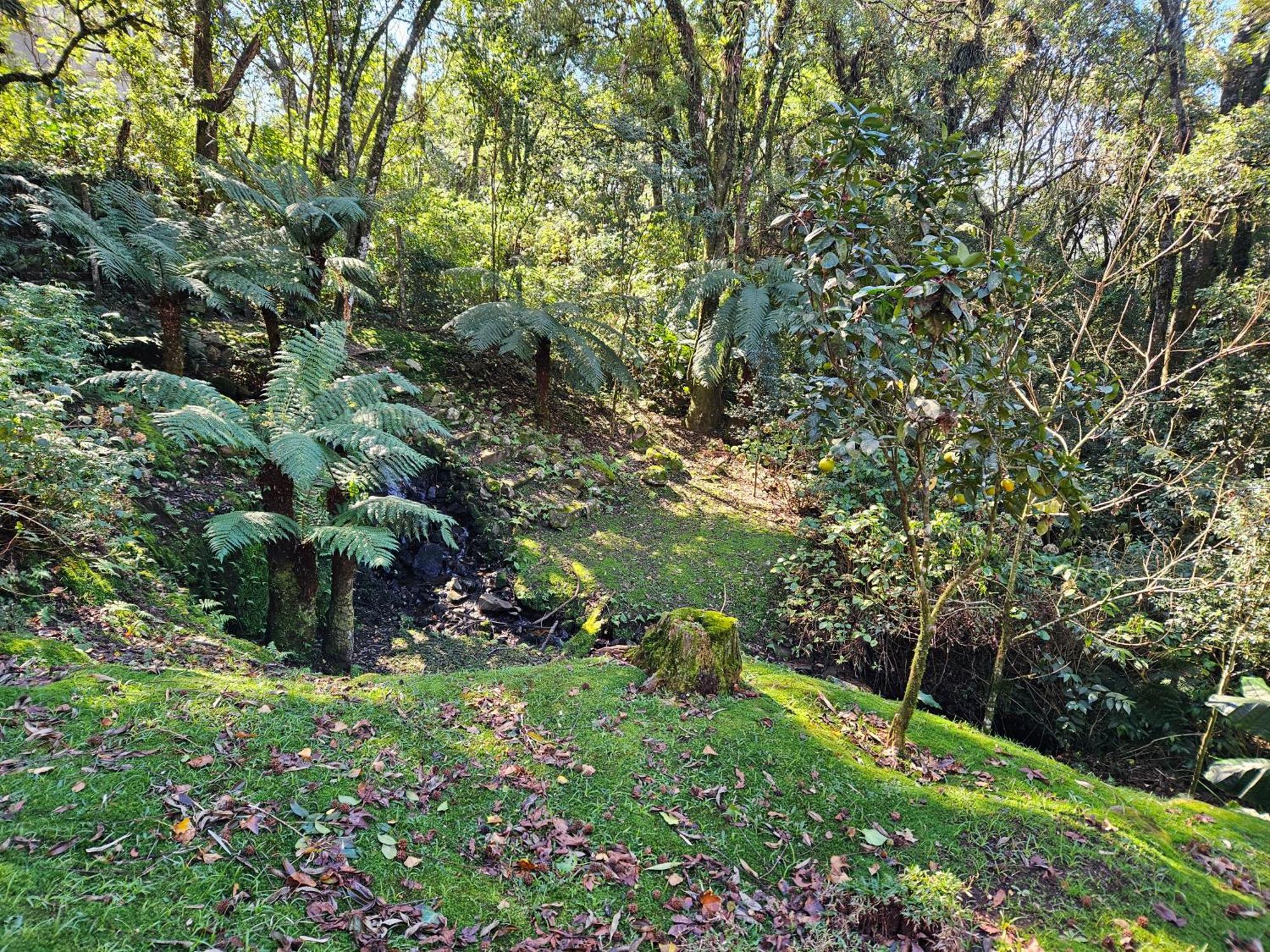 Cantinho Das Oliveiras. Gramado Eksteriør billede